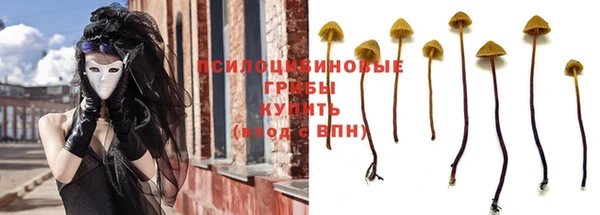 ГАЛЛЮЦИНОГЕННЫЕ ГРИБЫ Алзамай