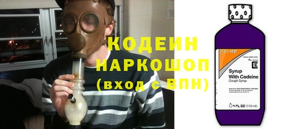 ГАЛЛЮЦИНОГЕННЫЕ ГРИБЫ Алзамай