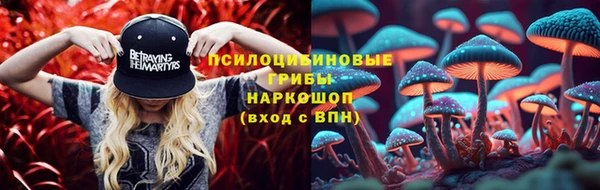 прущий лед Каменка