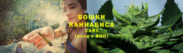 ГАЛЛЮЦИНОГЕННЫЕ ГРИБЫ Алзамай