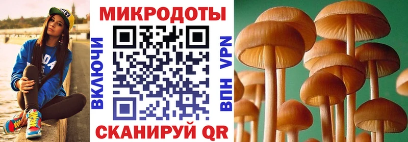 Галлюциногенные грибы мухоморы  Алексин 