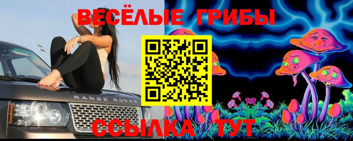 Алексин  Псилоцибиновые грибы Psilocybine cubensis  Псилоцибиновые грибы ЛСД  магазин  наркотиков  Вход с VPN 