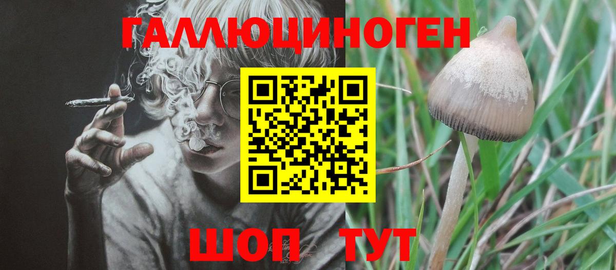 Псилоцибиновые грибы мухоморы Алексин